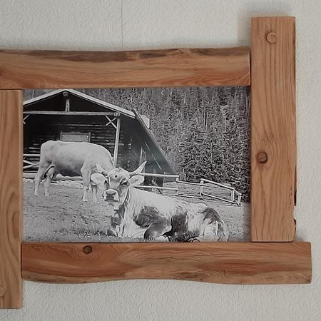Fewo Holzwurm Braunlage Exterior foto