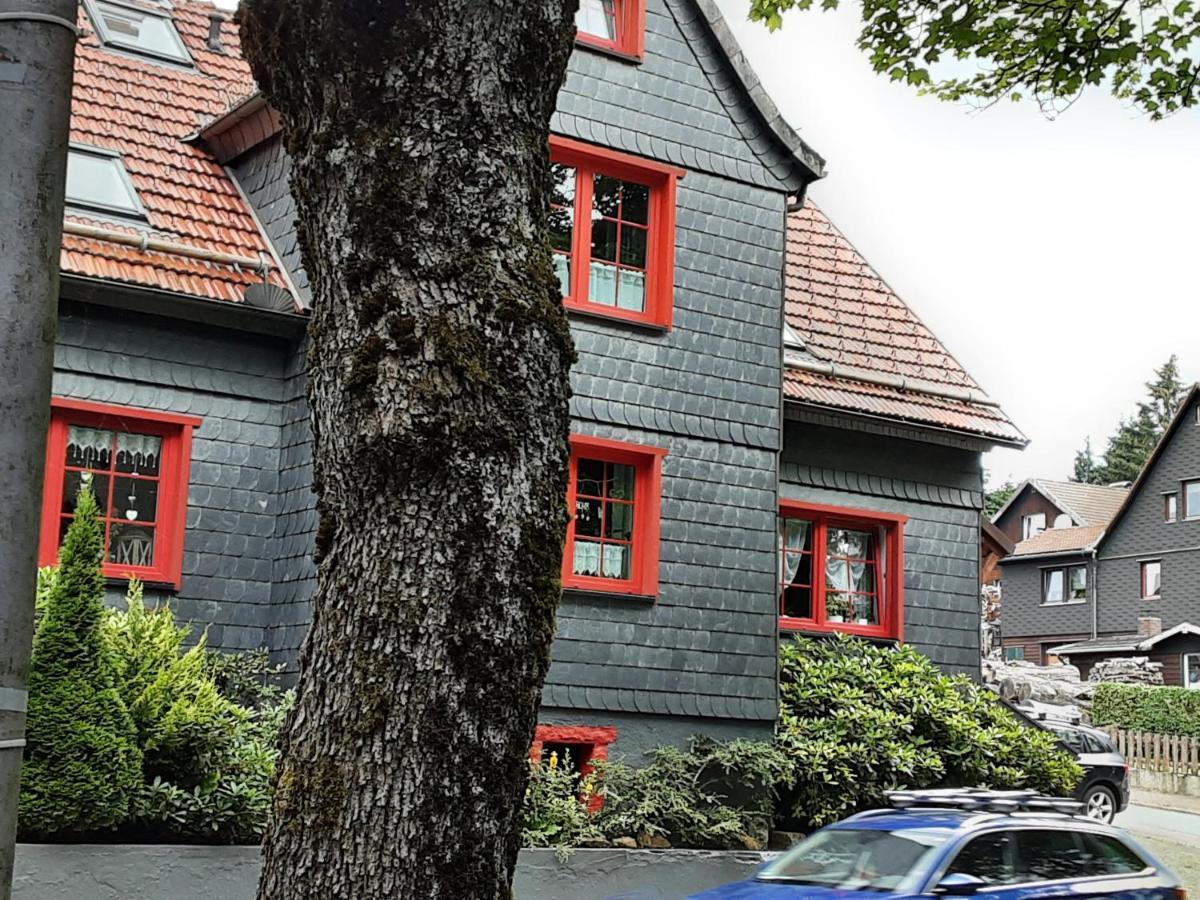 Fewo Holzwurm Braunlage Exterior foto